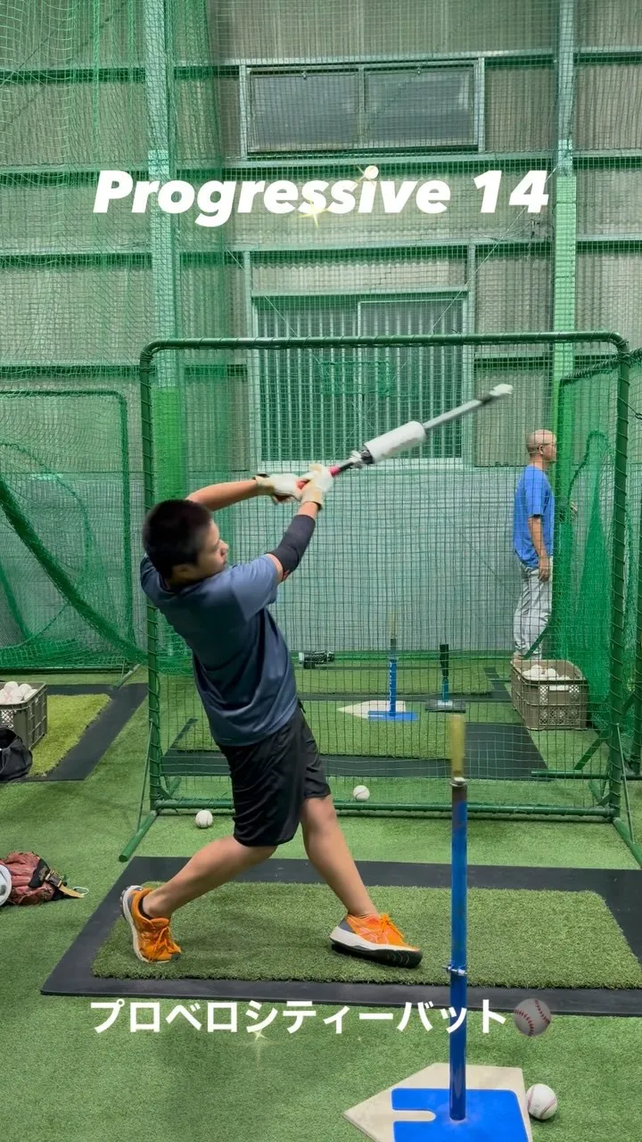 プロベロシティーバット