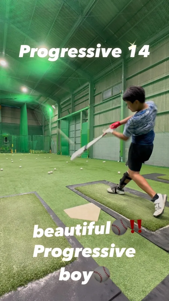 プロベロシティーバット