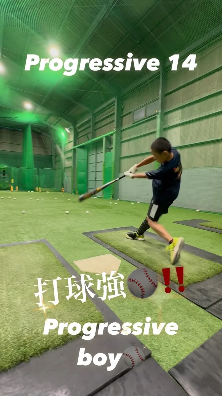 プロベロシティーバット