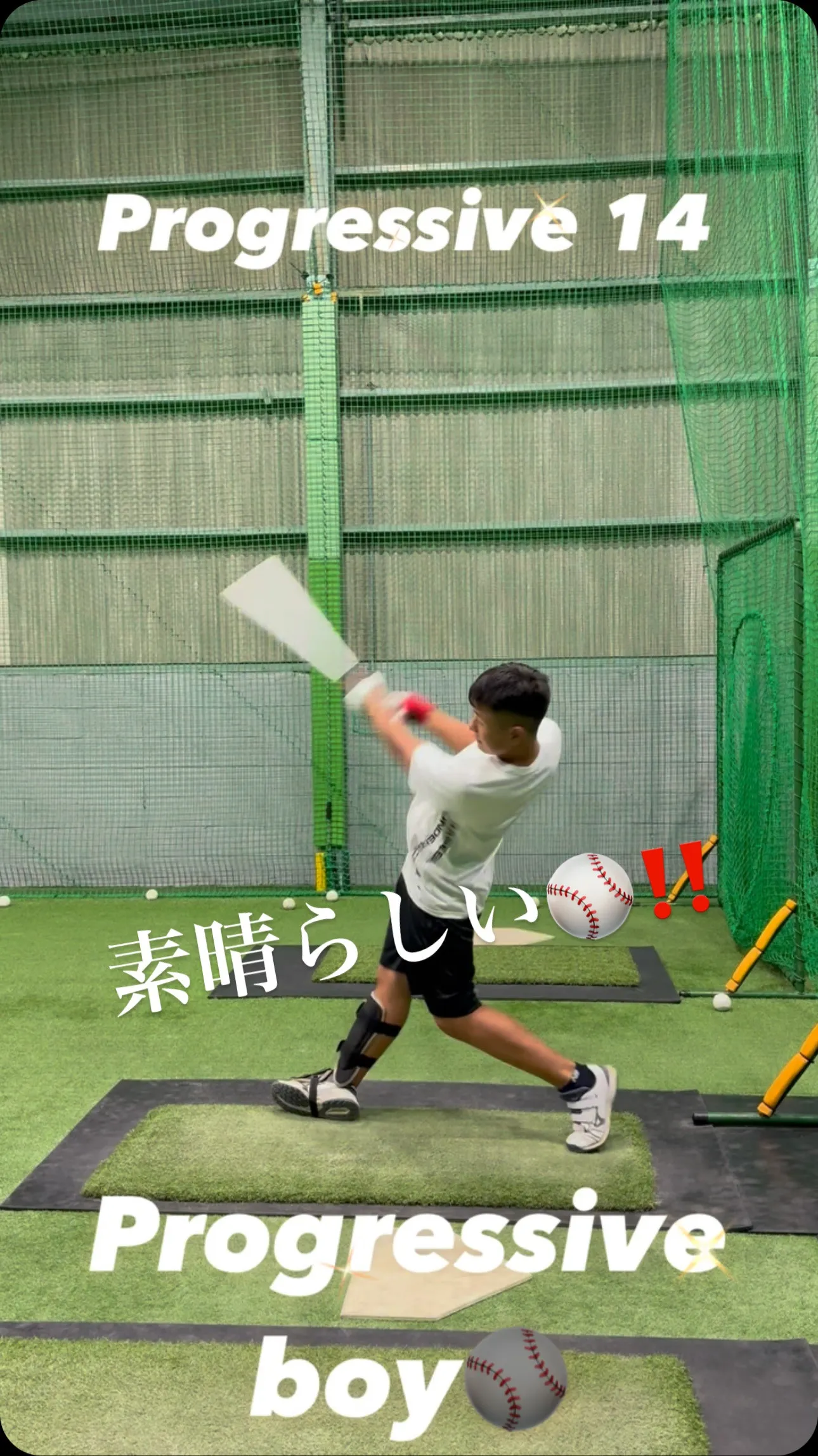 プロベロシティーバット