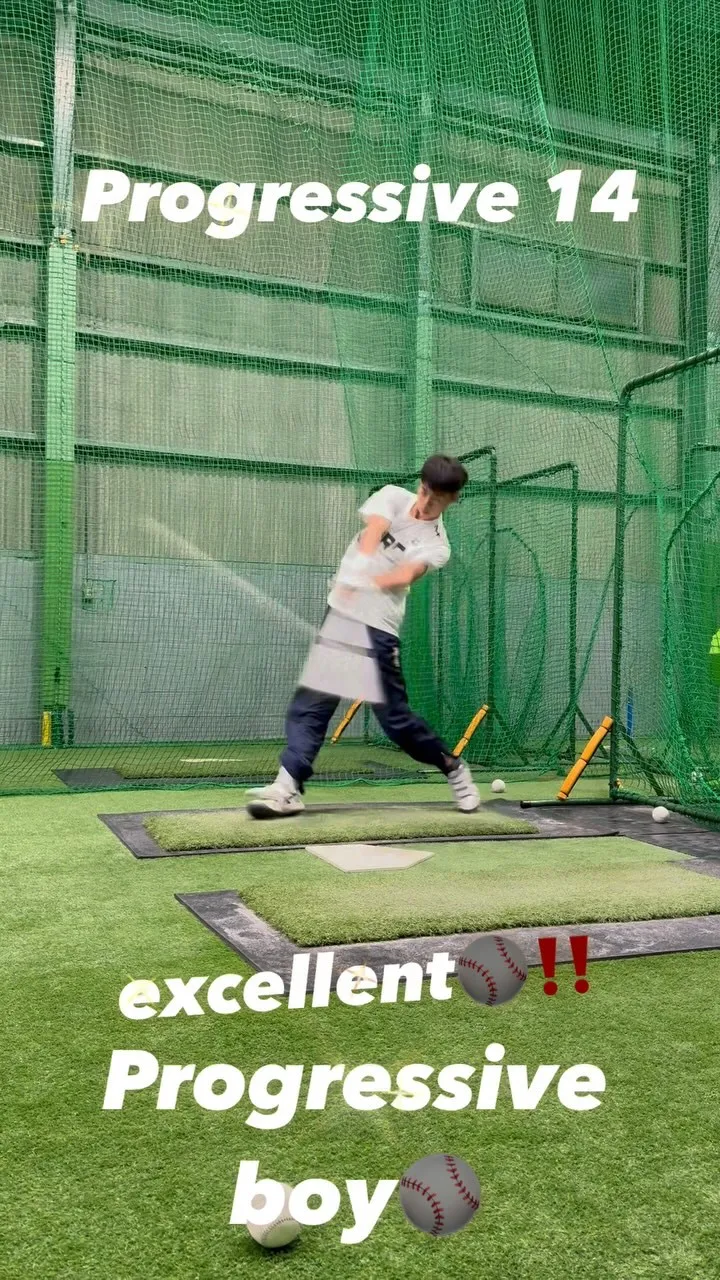 プロベロシティーバット