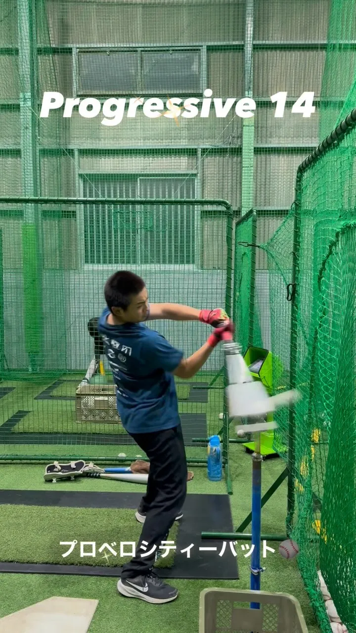 プロベロシティーバット