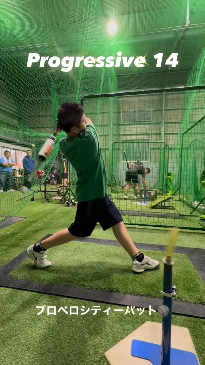 プロベロシティーバット