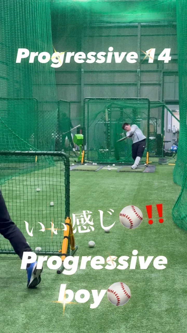 プロベロシティーバット