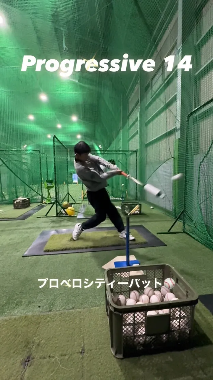 プロベロシティーバット