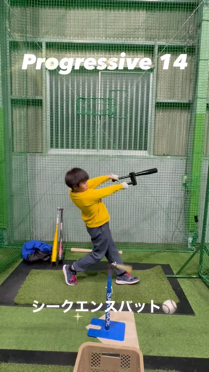 シークエンスバット＆バレルバット