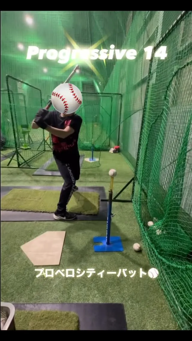 プロベロシティーバット