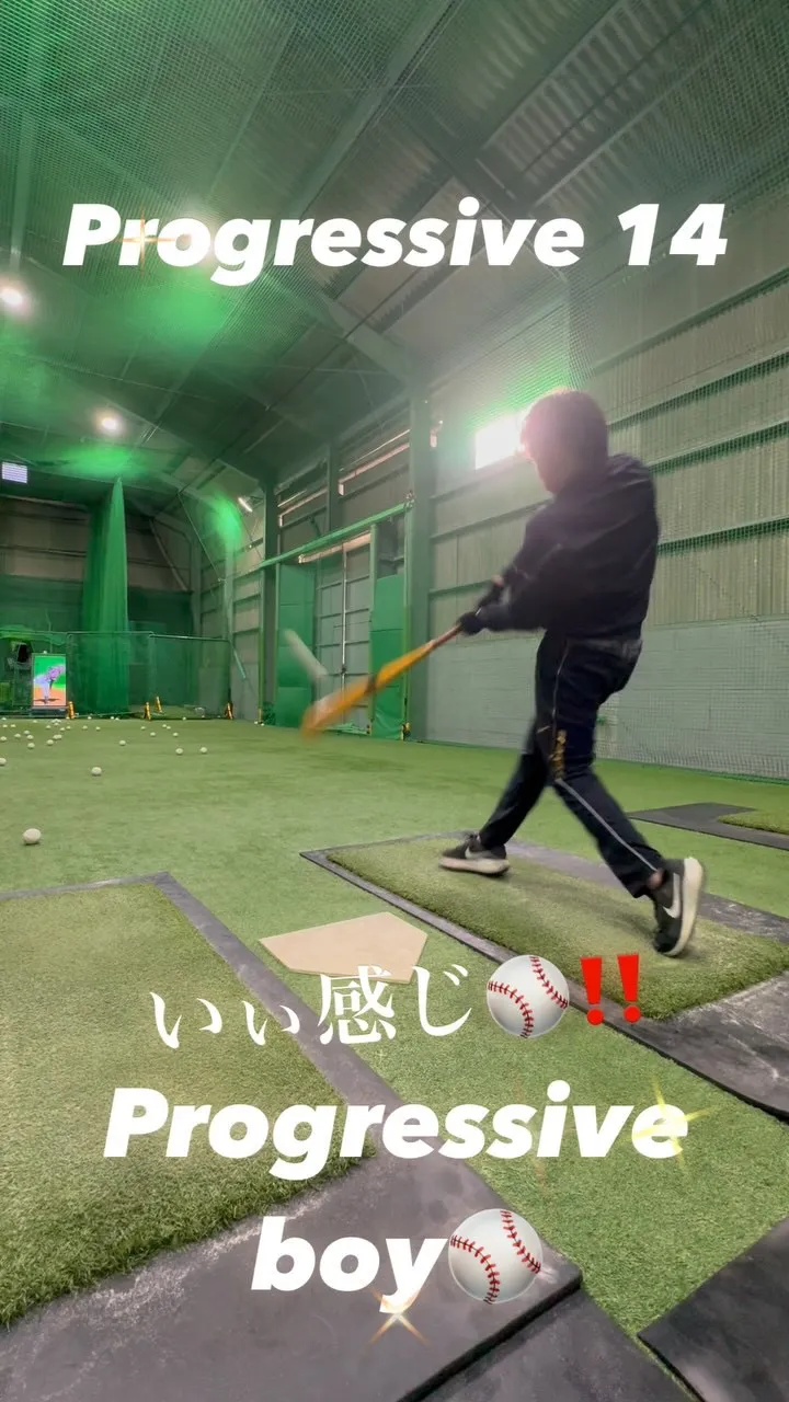 プロベロシティーバット