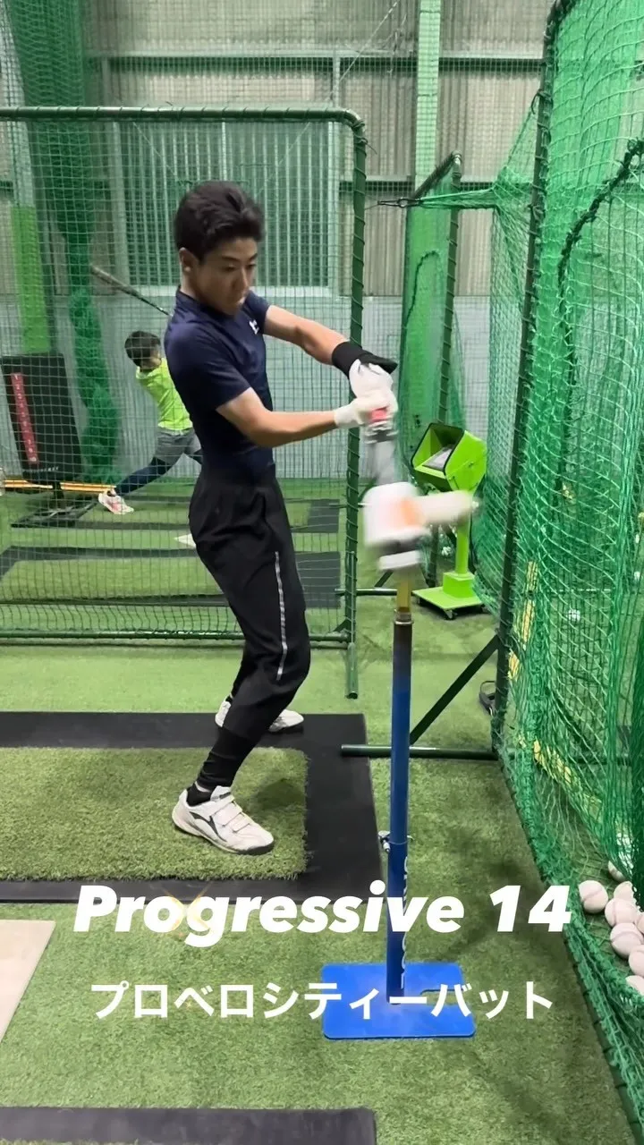 プロベロシティーバット