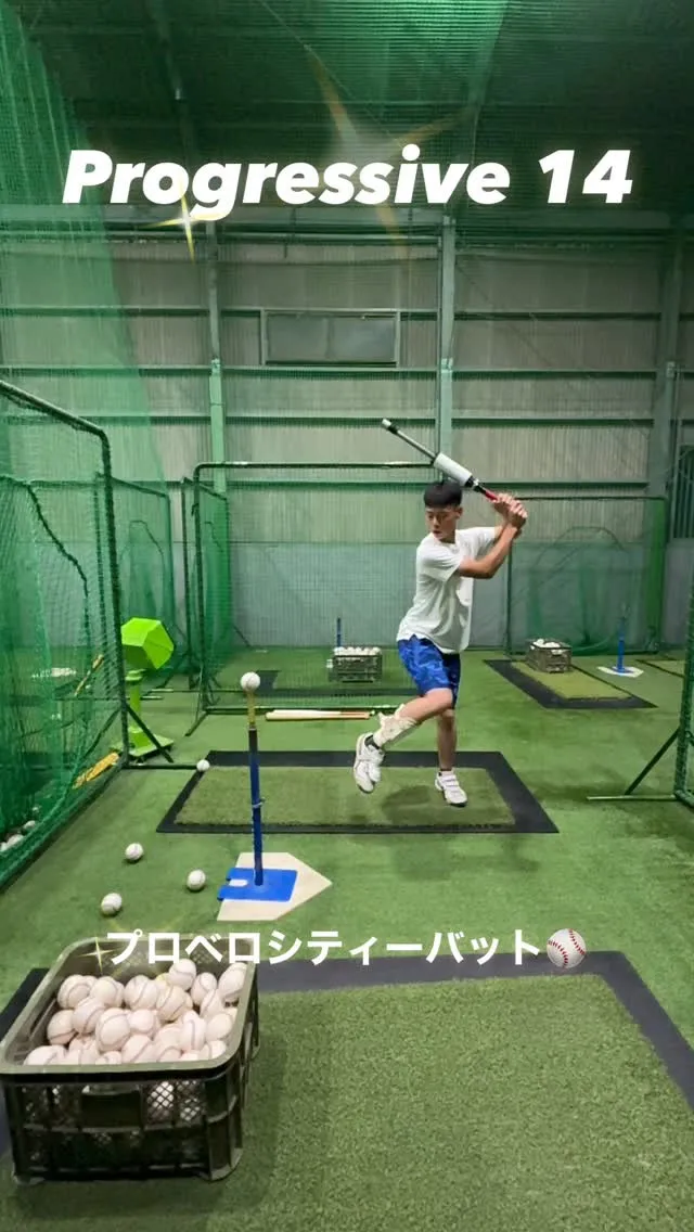 プロベロシティーバット