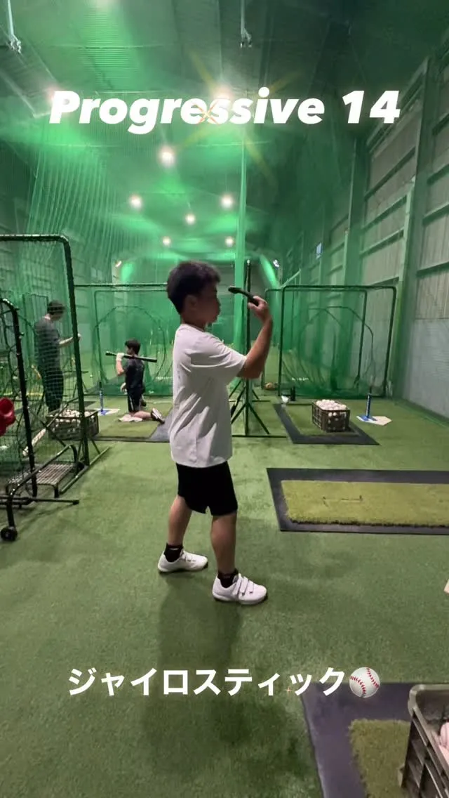 ジャイロスティック