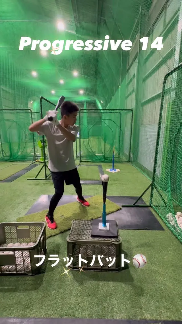 フラットバット