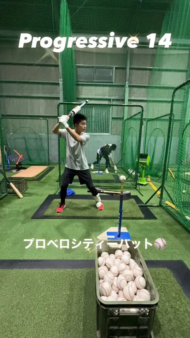 プロベロシティーバット