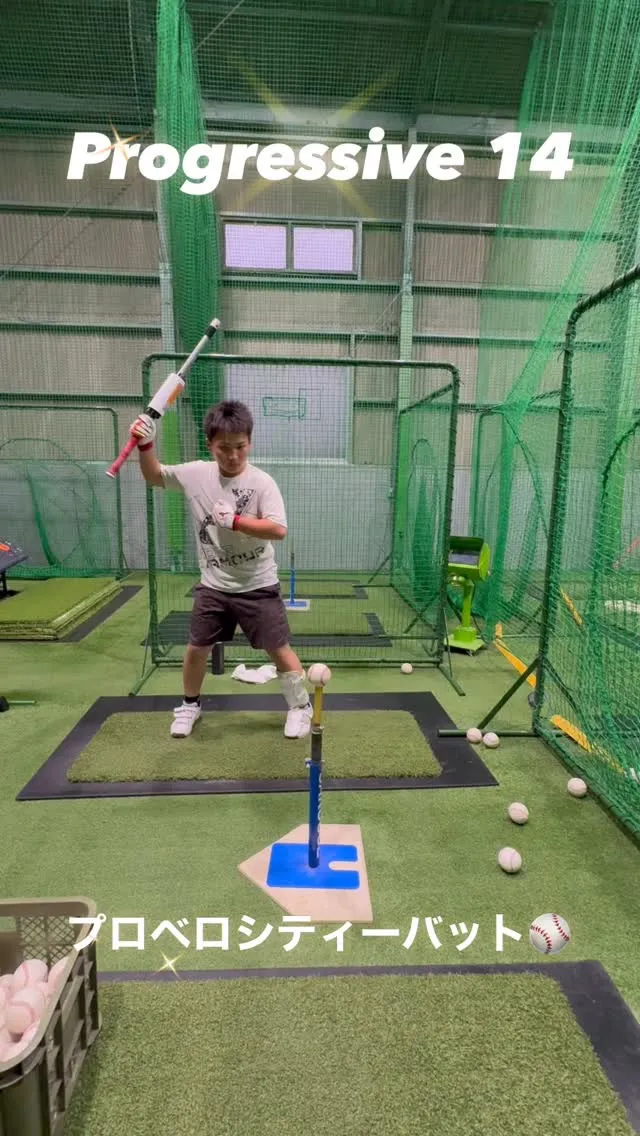 プロベロシティーバット