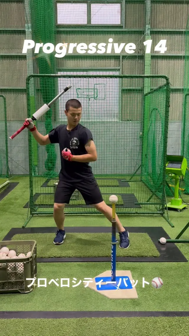 プロベロシティーバット