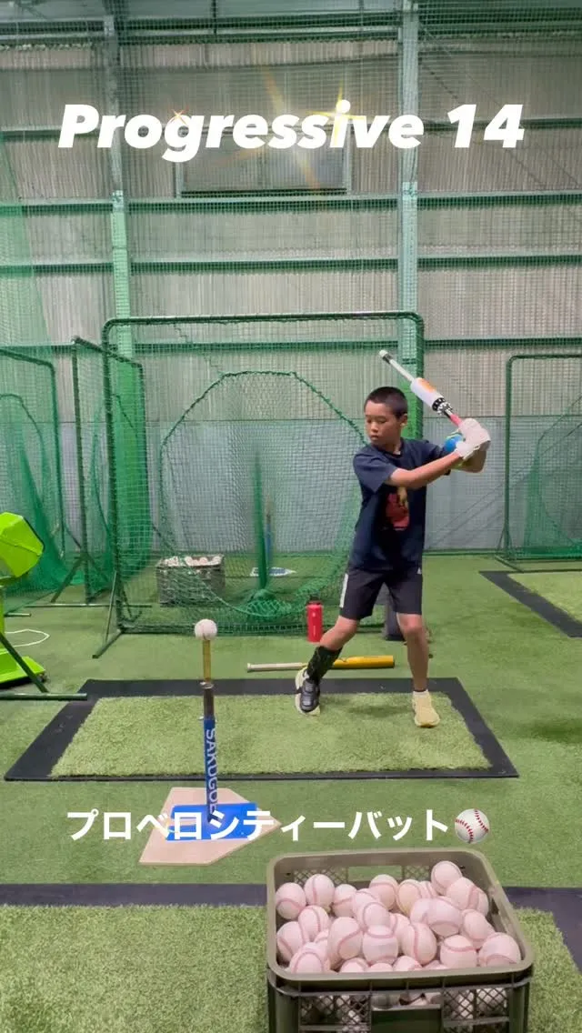 プロベロシティーバット