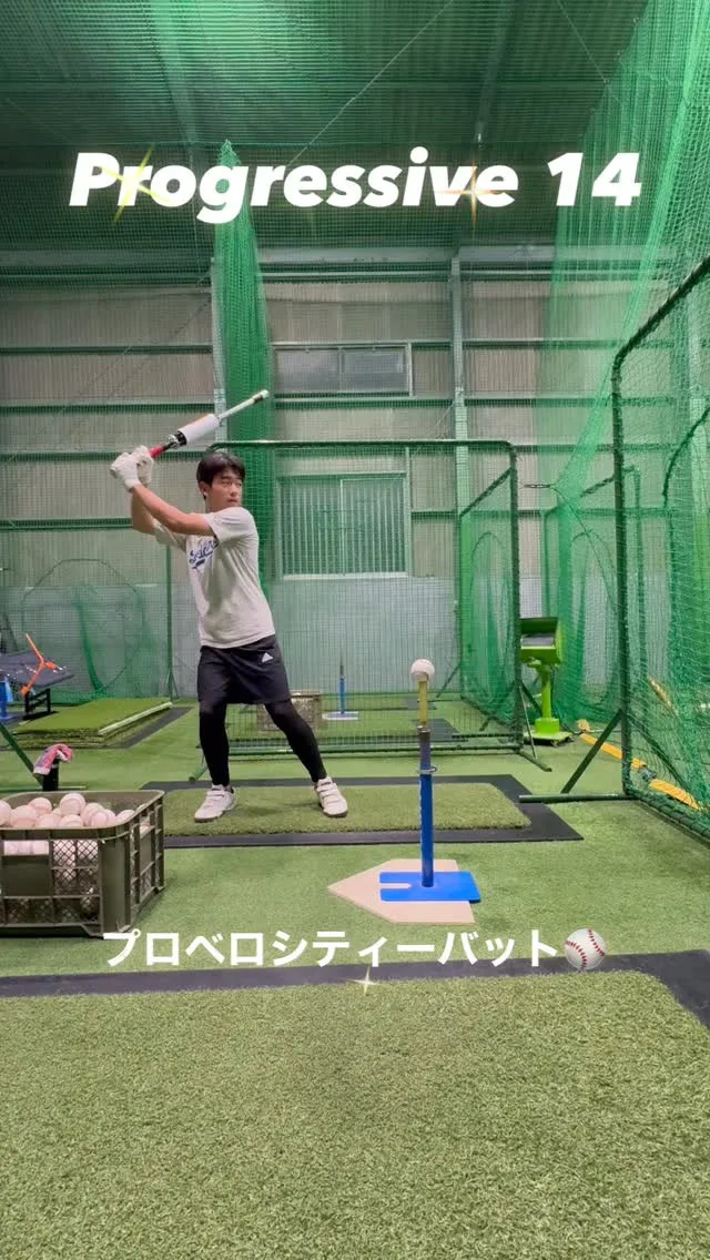 プロベロシティーバット