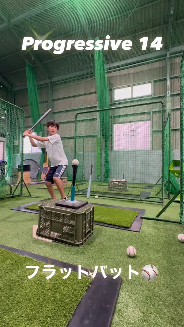 フラットバット