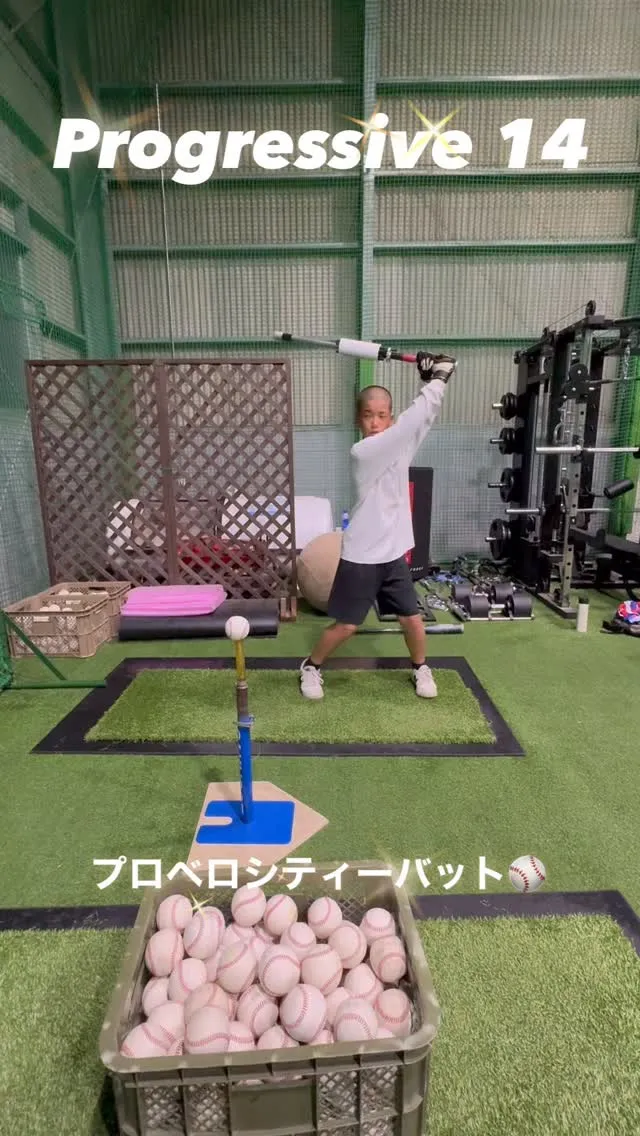 プロベロシティーバット