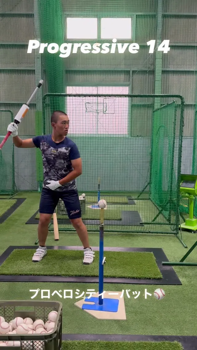 プロベロシティーバット