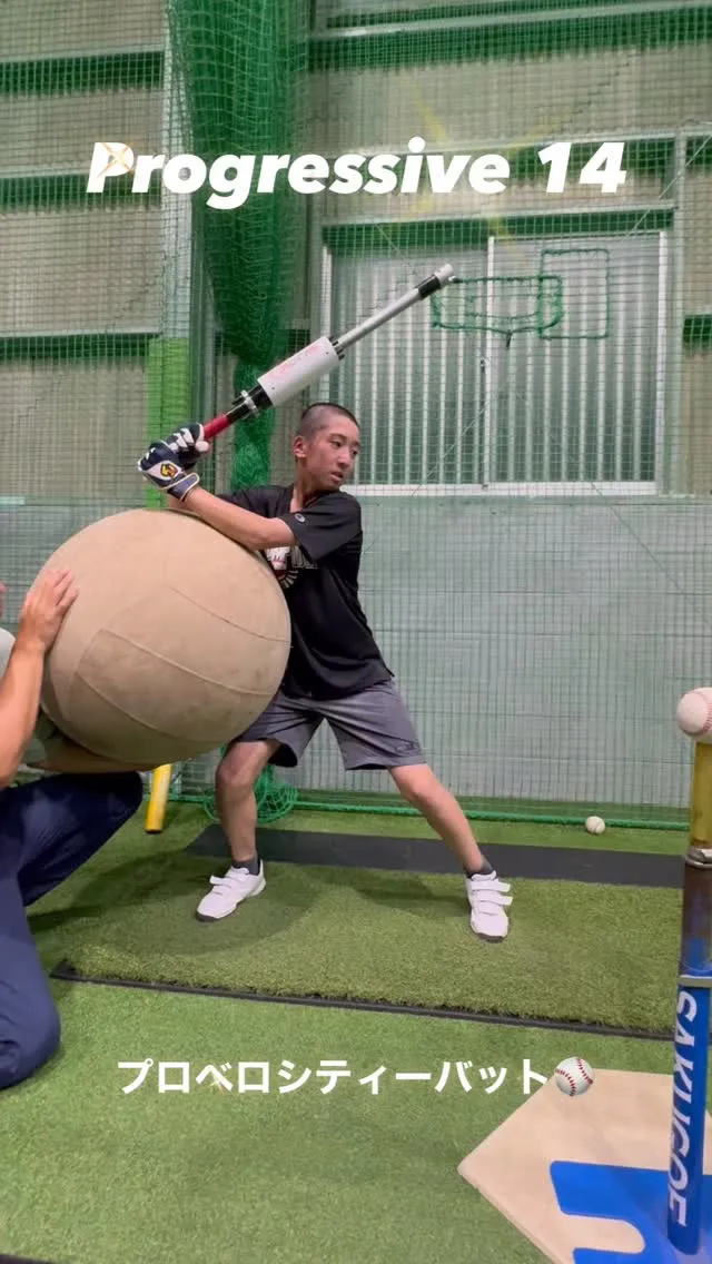 プロベロシティーバット