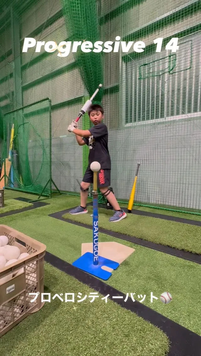 プロベロシティーバット