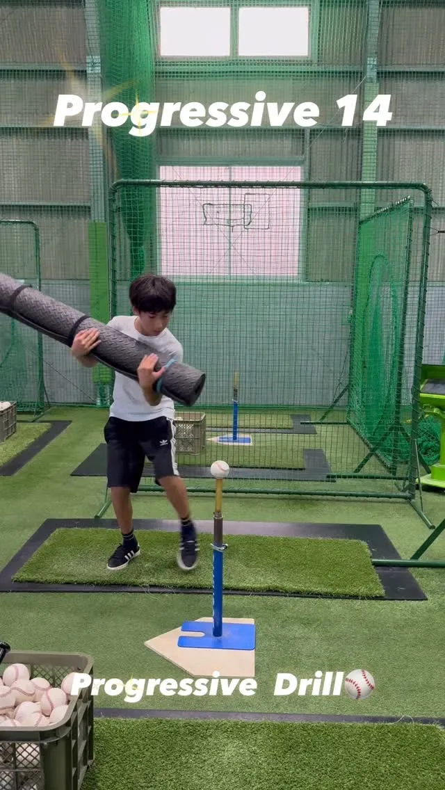 プロベロシティーバット