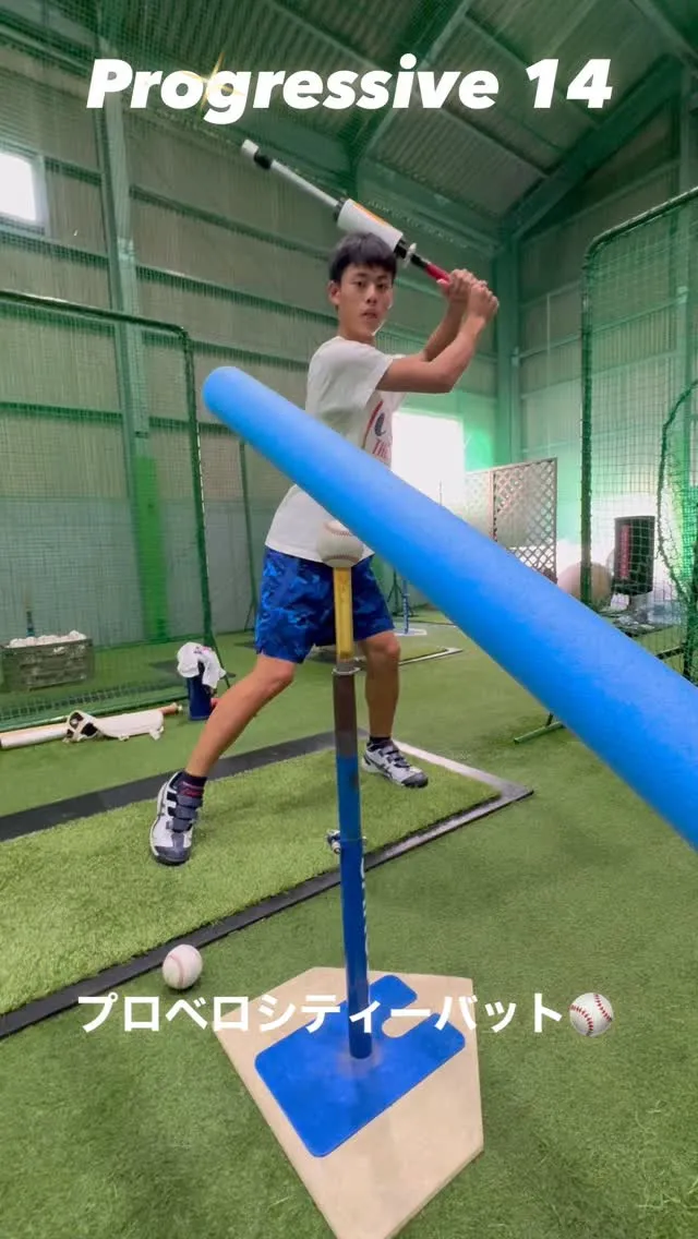 プロベロシティーバット