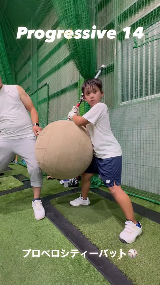 プロベロシティーバット