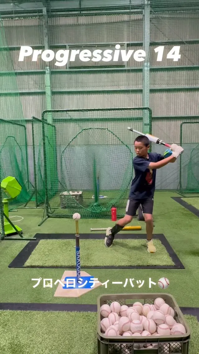 プロベロシティーバット