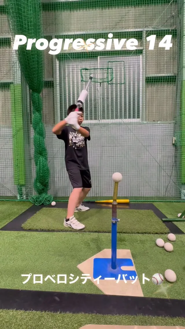 プロベロシティーバット