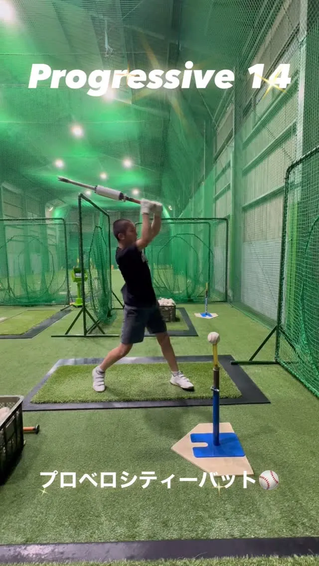 プロベロシティーバット