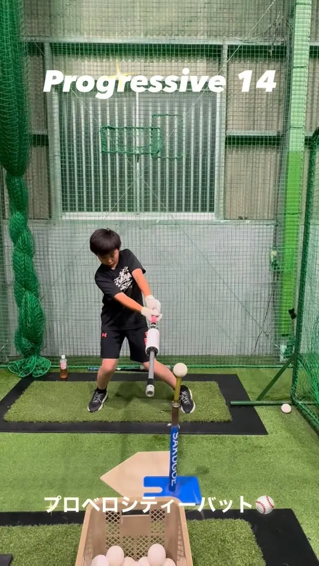 プロベロシティーバット