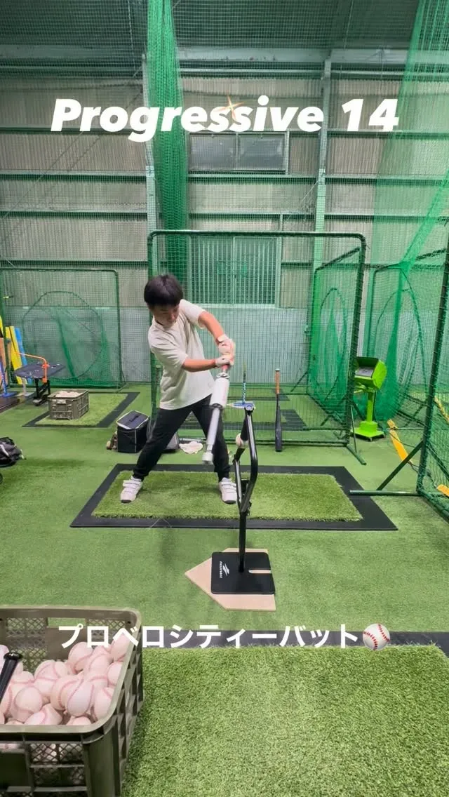 プロベロシティーバット