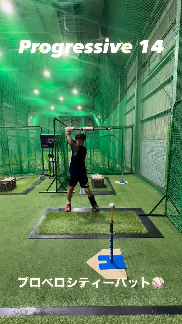 プロベロシティーバット