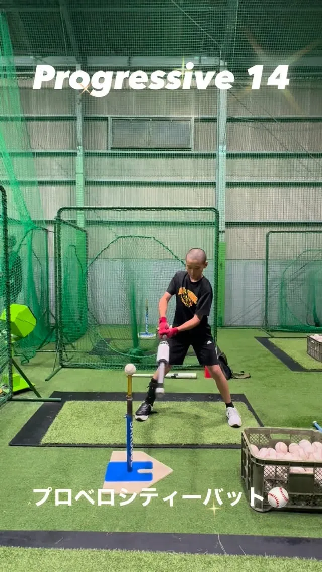 プロベロシティーバット