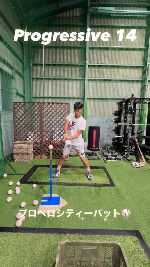 プロベロシティーバット