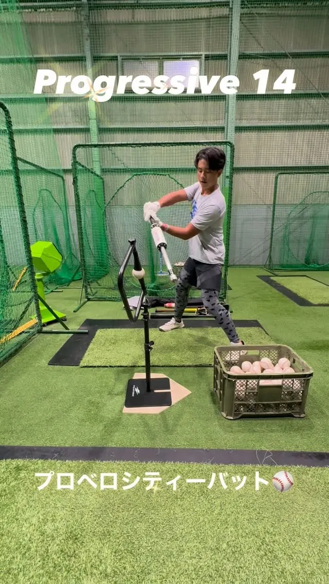 プロベロシティーバット