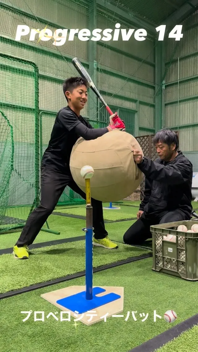 プロベロシティーバット