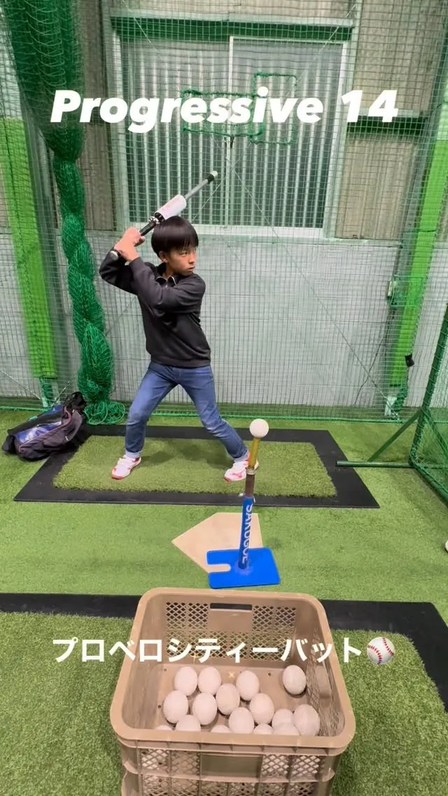 プロベロシティーバット