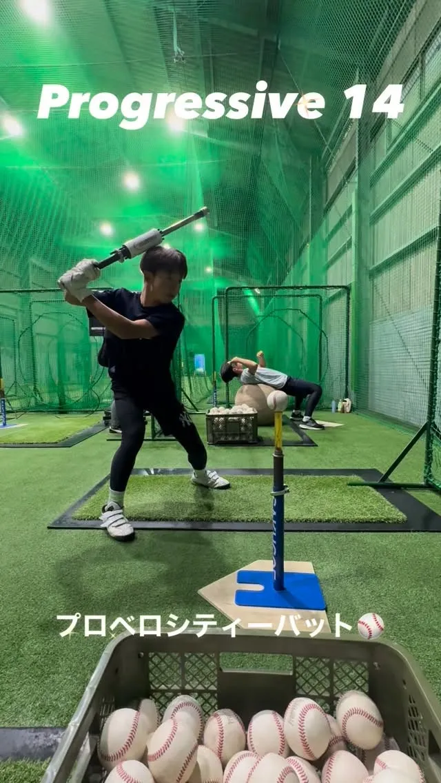 プロベロシティーバット