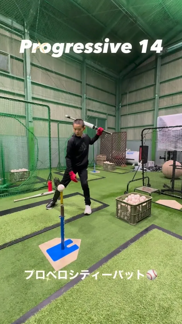 プロベロシティーバット