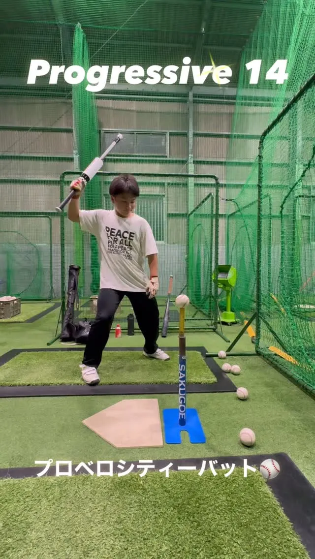 プロベロシティーバット