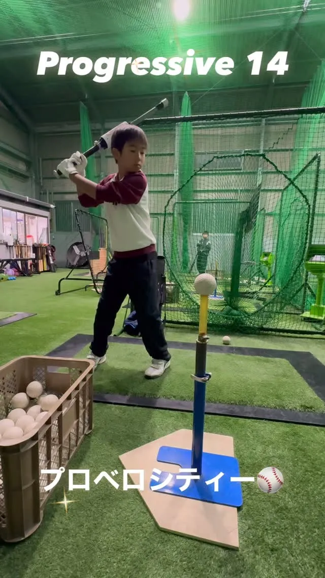 プロベロシティーバット