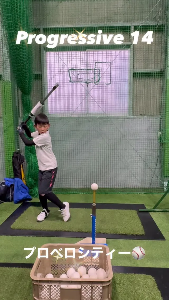 プロベロシティーバット