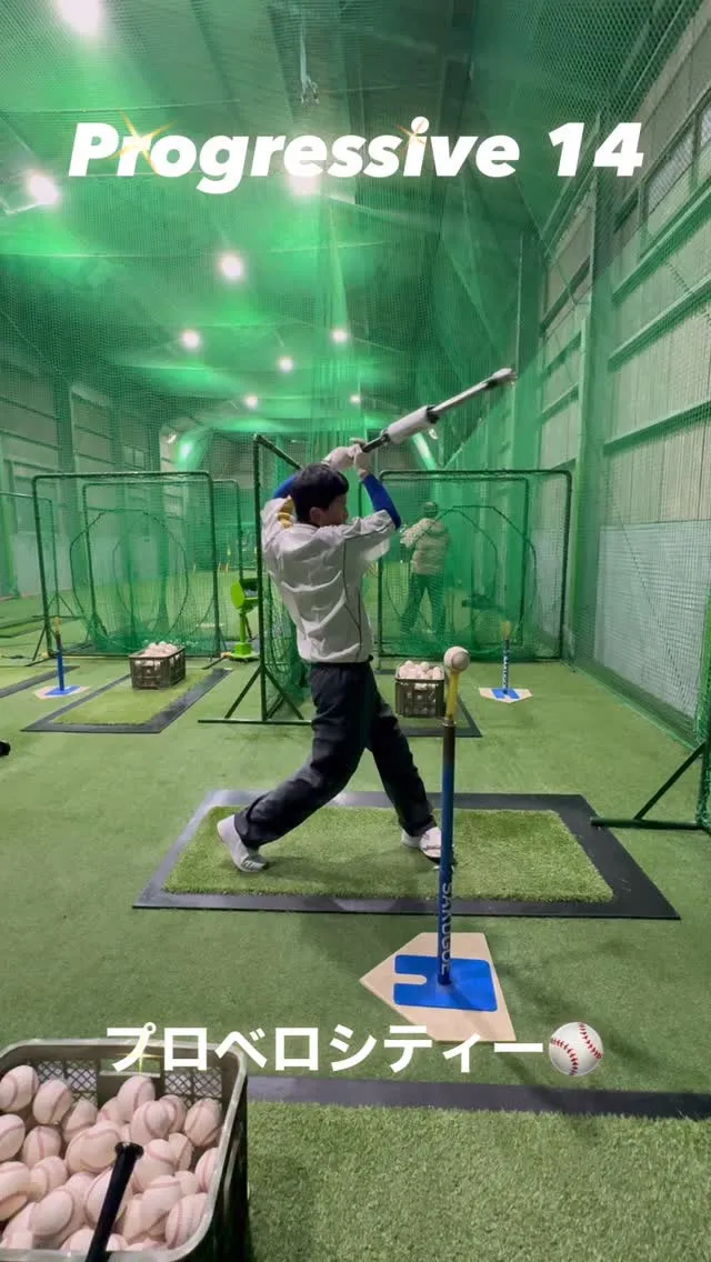 プロベロシティーバット