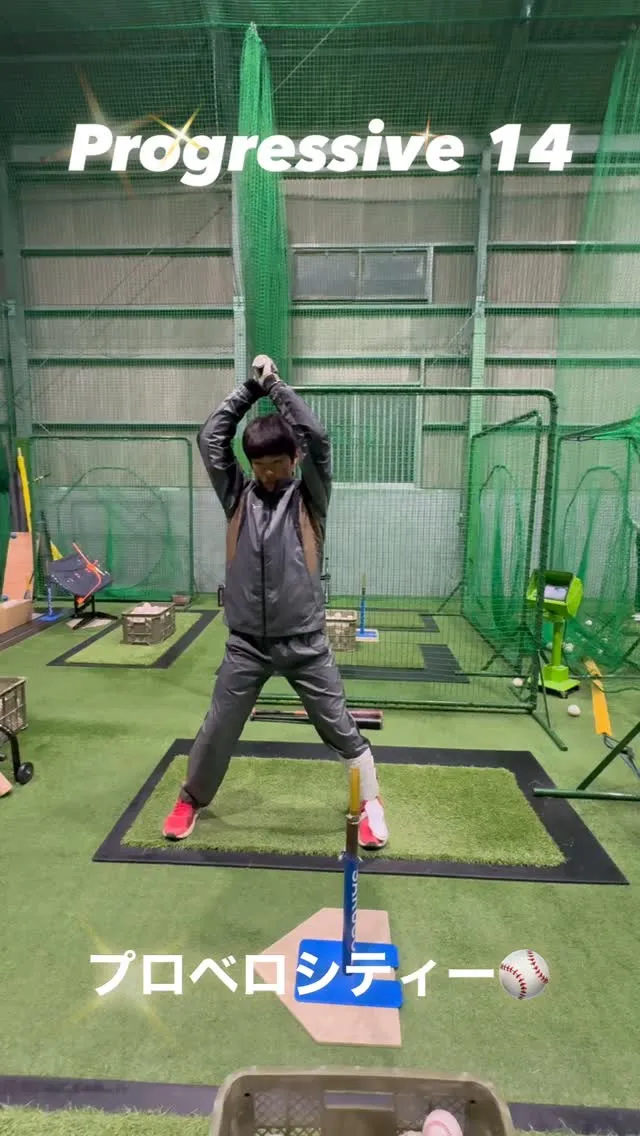 プロベロシティーバット