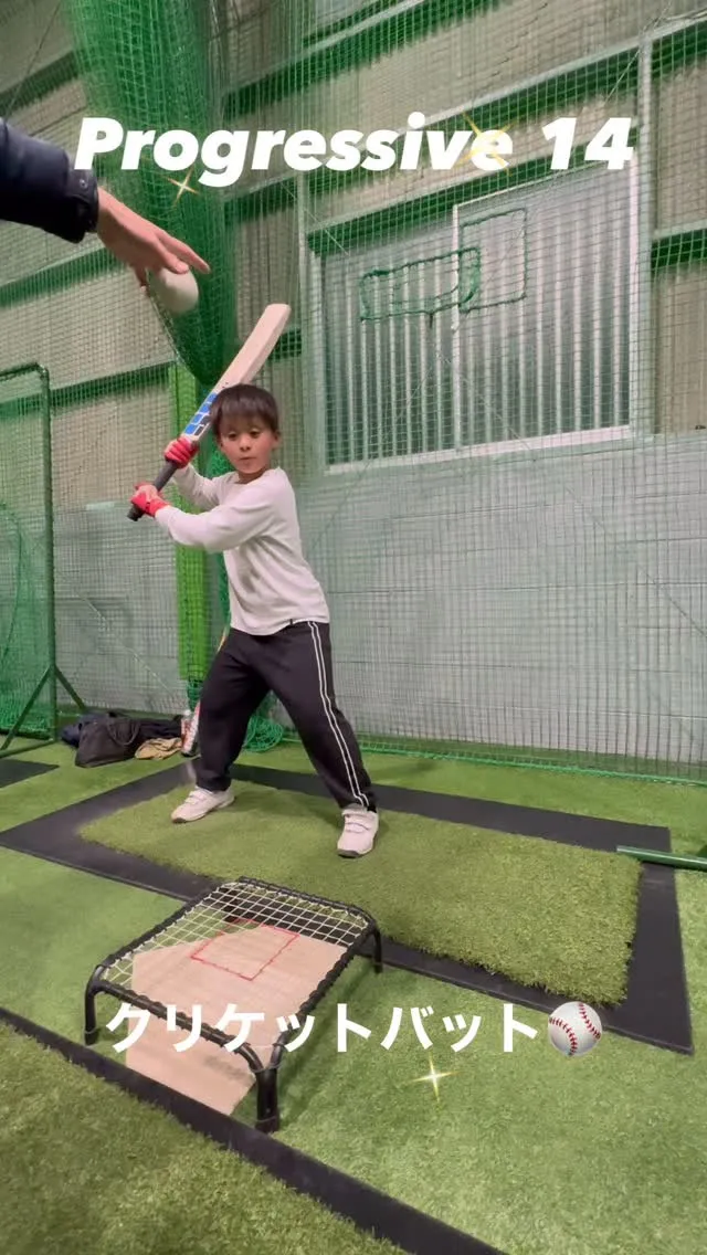 クリケットバット