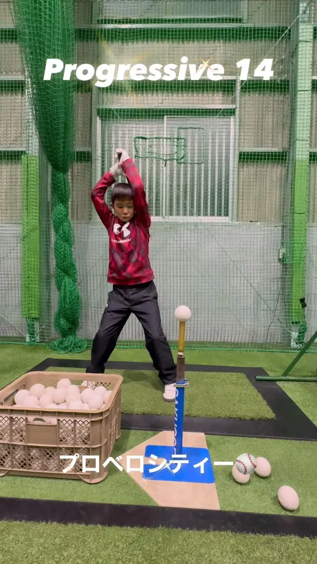 プロベロシティーバット