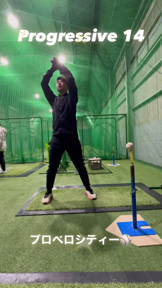 プロベロシティーバット